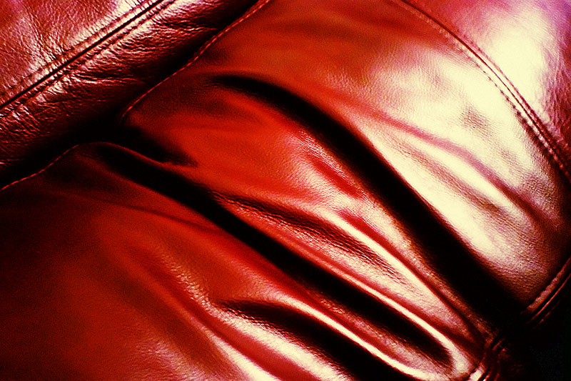 Leather or dead?