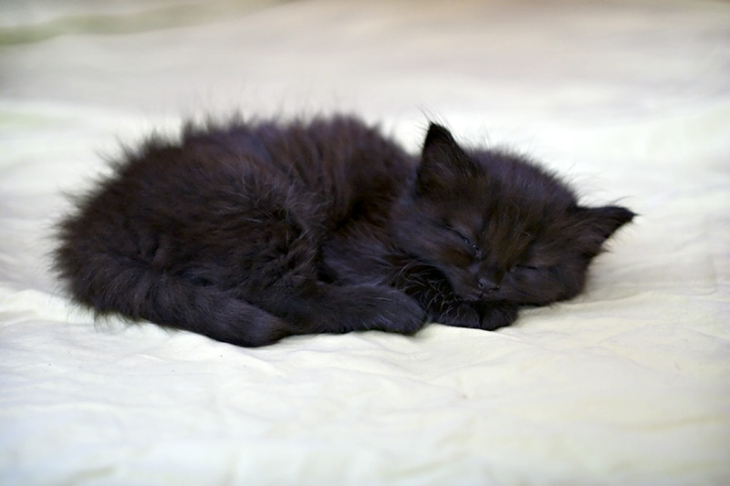 Nap time