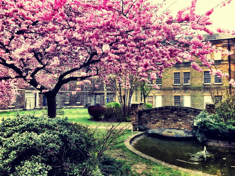 Spring time, finally!